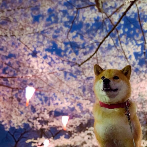 ベクトルEさんのプロフィール画像
