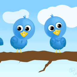 hafsa_seo's profile picture. 