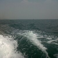 promodepok (@promosidepok) 's Twitter Profile