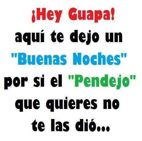 magallanero3380's profile picture. 