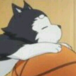 ひなたさんのプロフィール画像