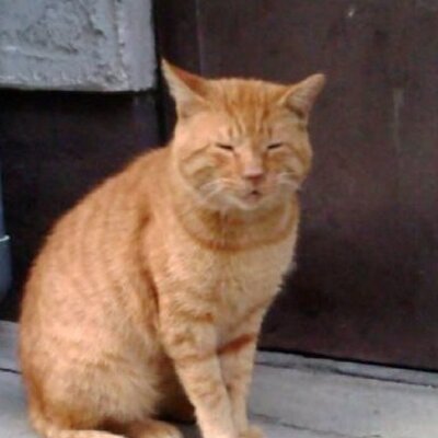 あつし