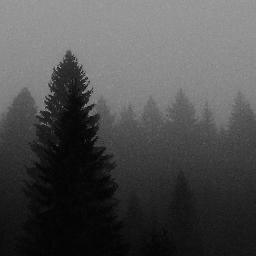 Gedankenkreisel's profile picture. My daily thoughts