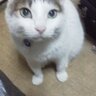 426142614261's profile picture. Prayers Studio所属。俳優です。“演劇の力が人の魂を癒す”と本当に信じてる俳優です。“演劇の力”が少しでも人々の心の安らぎ・平静・潤い・愛の助けになれば思ってます。