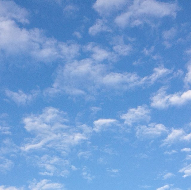 randdf's profile picture. 