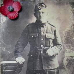 Bobbypigeons's profile picture. 