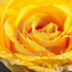 cerqueiras2013's profile picture. Sou Mulher,amo a Vida,tudo que Deus criou.Gosto:Futebol,cinema,passeios ao ar livre,praia...Tenho 49anos,gosto de fazer novas amizades s/preconceito,c/respeito.