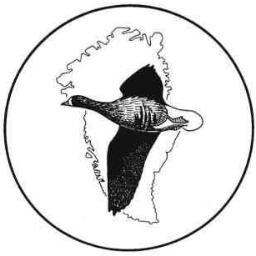 GWfGS's profile picture. Greenland White-fronted Goose Study (GWGS) is an independent group dedicated to the study and conservation of the Greenland race of White-fronted Goose