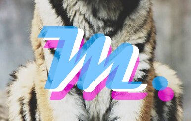 Music, Movies and Highlife blog. Interesting and new content everyday ! Be in-touch with the latest trends !