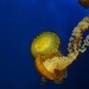 Eli Childers - @eliyouknowit - Twitter