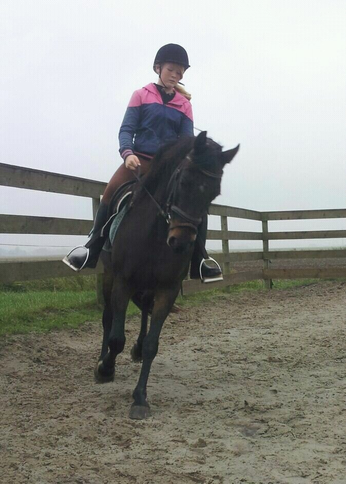 ik hou van mijn topper's anastacia en roosaly