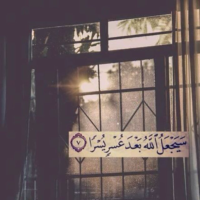 ‏‏: خقهـ ومزيون لآمشى گسر رقآب آلمخآليق آبي آعرف /آلشآعر ذآ وين شآفني ؟؟