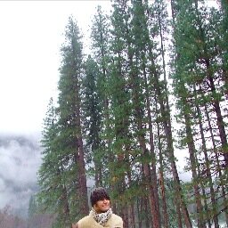 FrankieShrapnel's profile picture. Horticulturalist granny and advocate for land-based skills. Passionate Europhile. Proud member of the Guardian reading tofu eating wokerati. Maybe not the tofu.