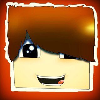 Вы можете меня знать по моим не большим видео обложкам, Обожаю игру minecraft всегда в ней! Скайп dimtit2002