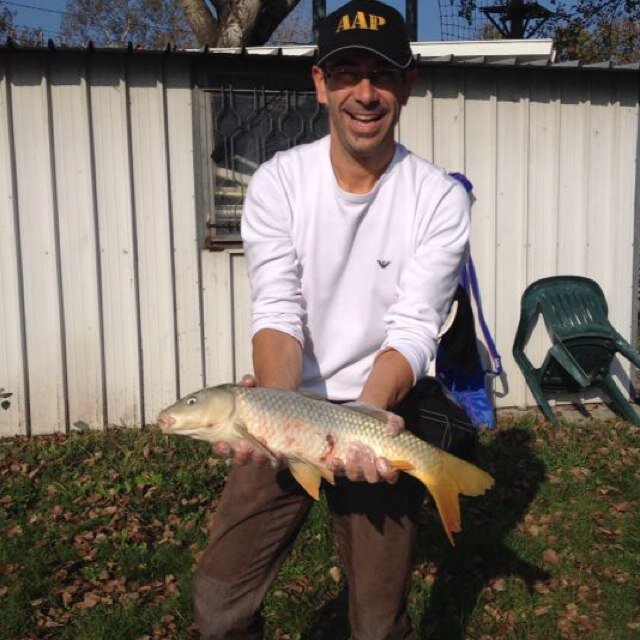 chiagilb's profile picture. 