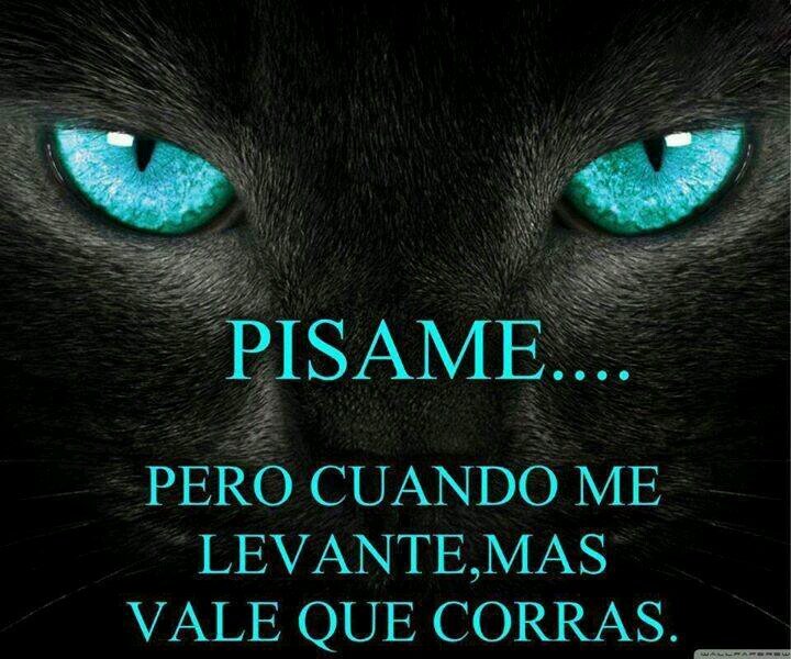 mi mejor momento