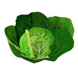 Food and lifestyle blog of @HWIllustrator with illustrated recipes and articles about veganism.