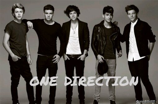 Directioner! Onlineshopper! Welcome! #onedirection
