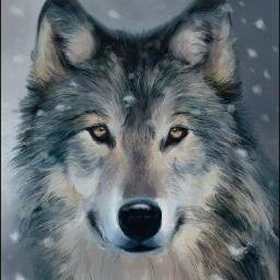 Lobenko90's profile picture. Не верю в альтруизм и честные глаза...