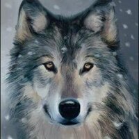 Лобенко Николай (@lobenko90) 's Twitter Profile