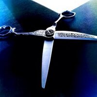 The Scissor Guru (@guruscissor) 's Twitter Profile
