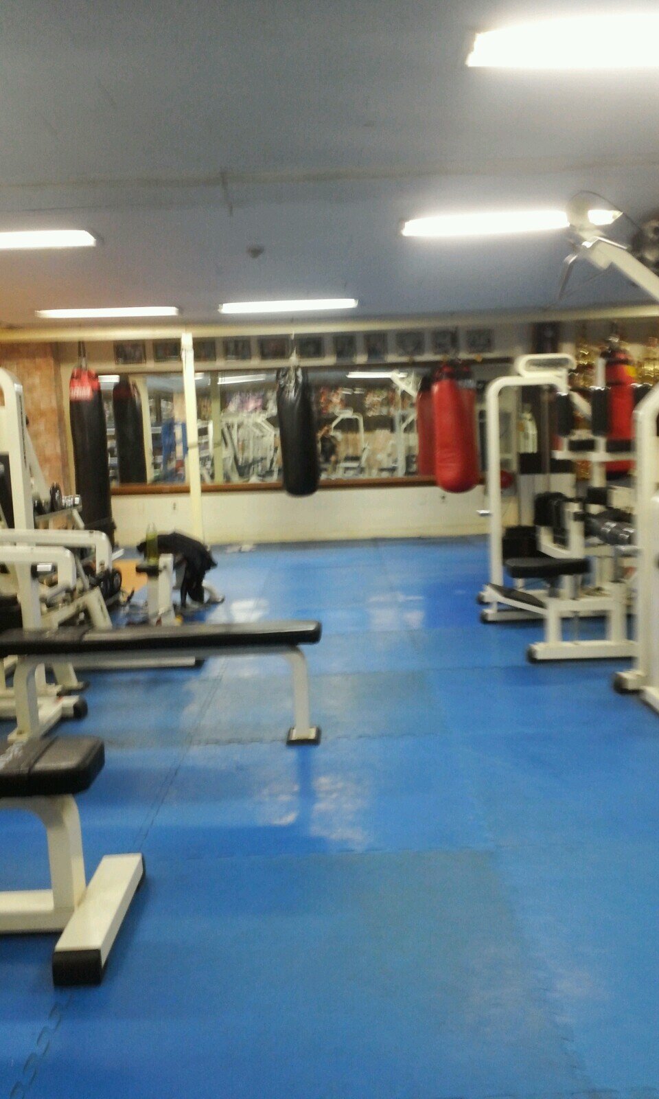 nirliskg's profile picture. 