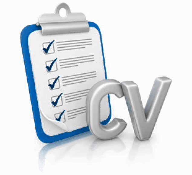 There is no excuse for a bad CV.