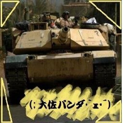 (; 大佐パンダ･`д･´)軍事解説