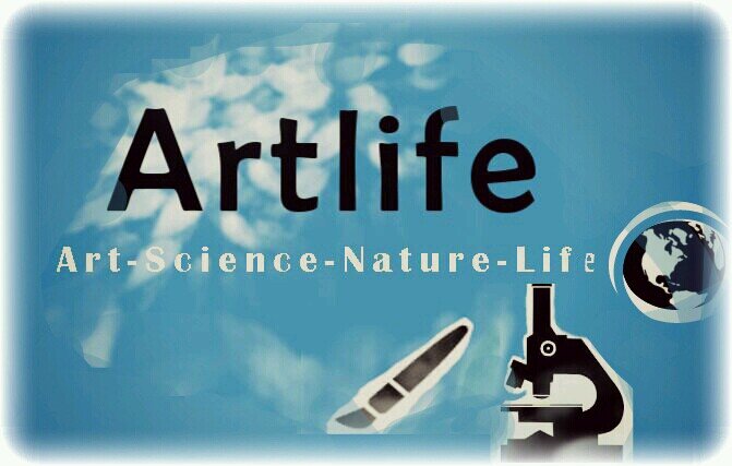 Drawings and paintings of anything, depicting objects and feelings of this life and what lies beyond our understanding of consciousness.Plants,animals, science!