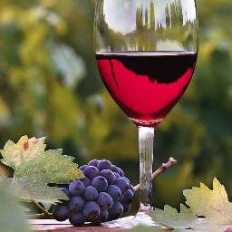 WWW is an app that has the translation from English into Spanish and viceversa of the terminology used in the wineries,viticulture,wine tasting and laboratories