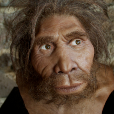 Homo georgicus (@Homogeorgi) | Twitter