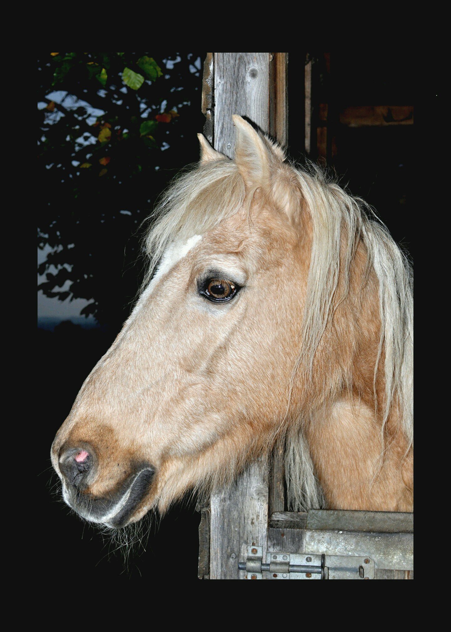 Els_ie Profile Picture