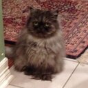 vicki oldham - @vickioldham - Twitter