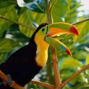 ABEL CERDA AYALA - @AYALACERDA - Twitter