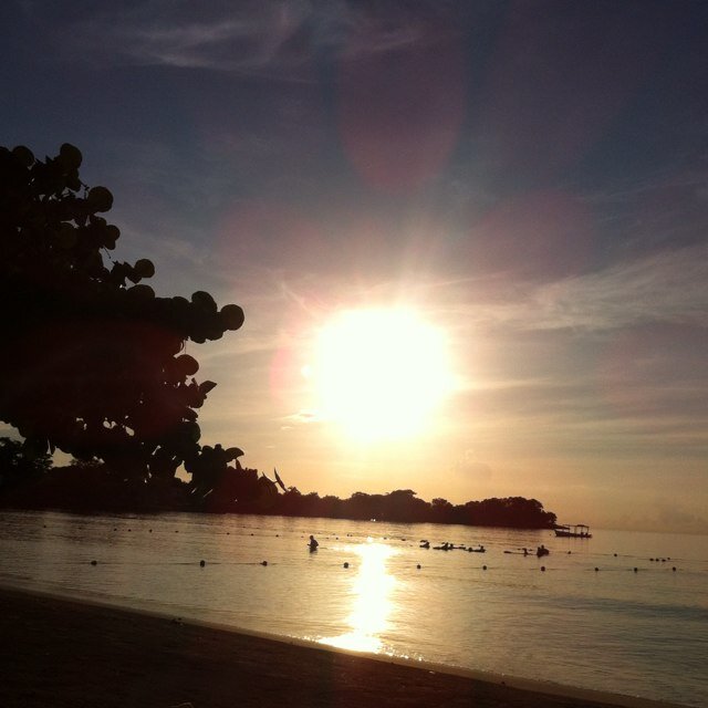 earrings40's profile picture. Wife mother who loves animals and hates people who mistreat them and loves the going on holidays