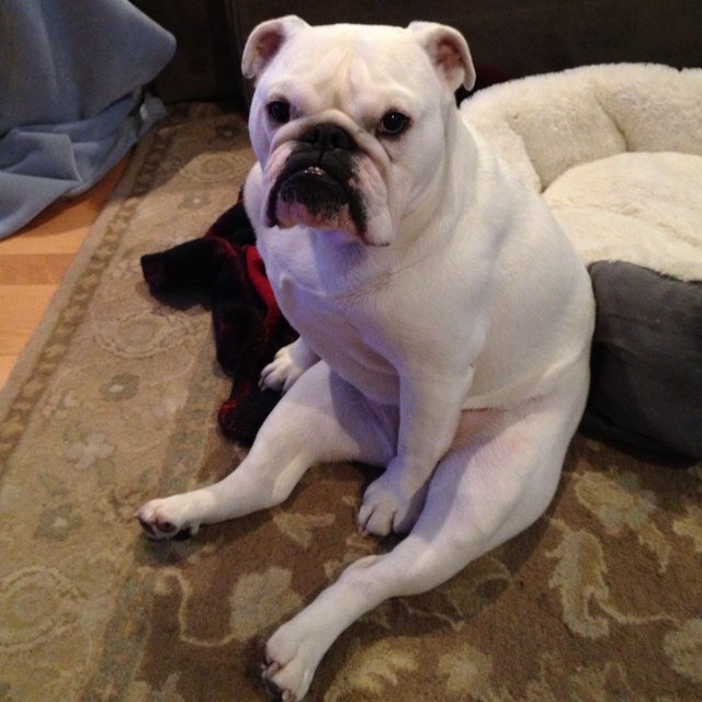 solat11's profile picture. Look, buddy, I know a lot about the law and various other lawyerings. I'm well educated; well versed.