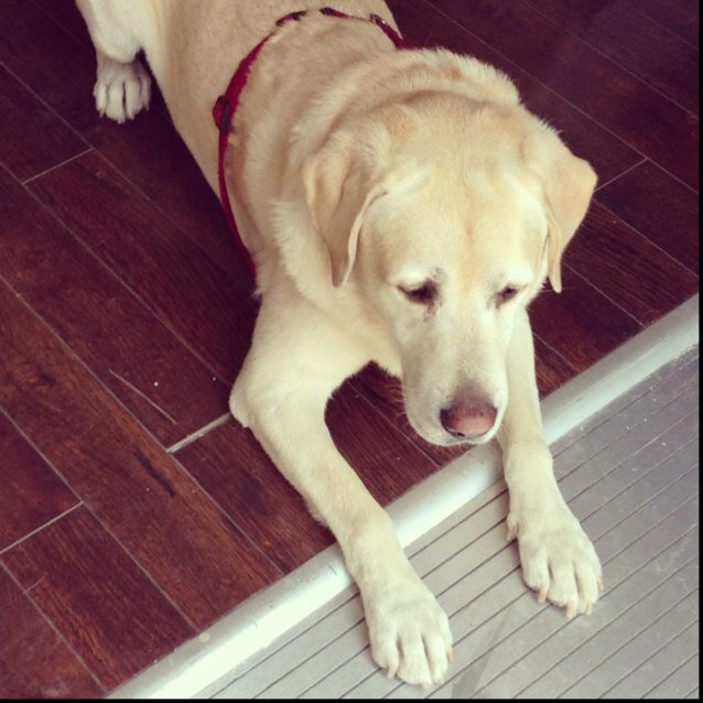 MaryDamash's profile picture. 