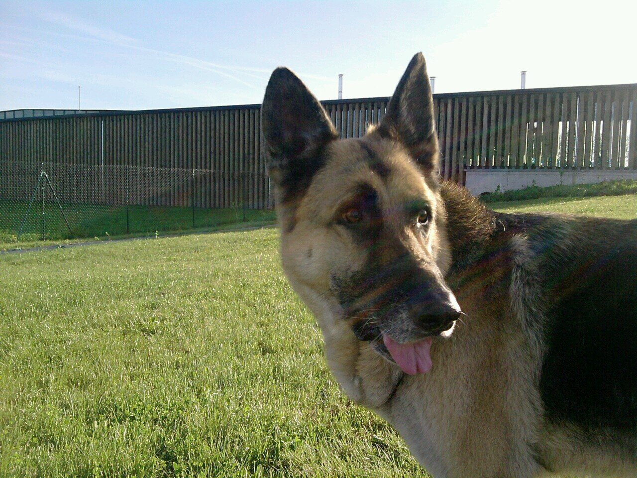 Borjatrivi Profile Picture