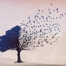 dianesing's profile picture. artist, math geek, knitter, mom, wife, skydiver and yoga instructor.