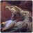 Towerolbuhe's profile image