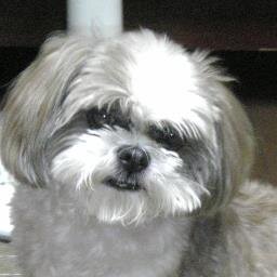 cloudknowledge1's profile picture. 