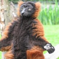 Jan Prijn (@janprijn) 's Twitter Profile