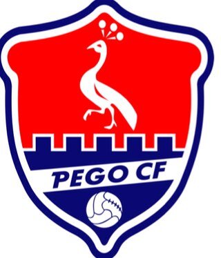 Actualment al grup VII de primera regional