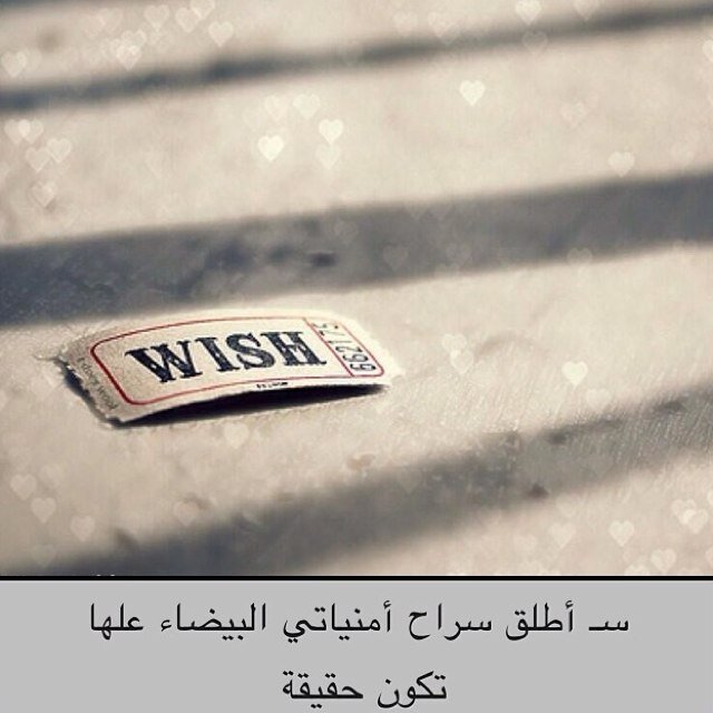 معيدة علوم حاسب.. الاحترام ثقآفہَ راقيھہَ يعتقدُهآأ الجآهَل اهآنہَ للنفسسَ ..♫♡