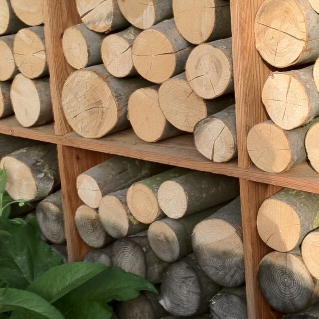 hollandbiomass Profile Picture