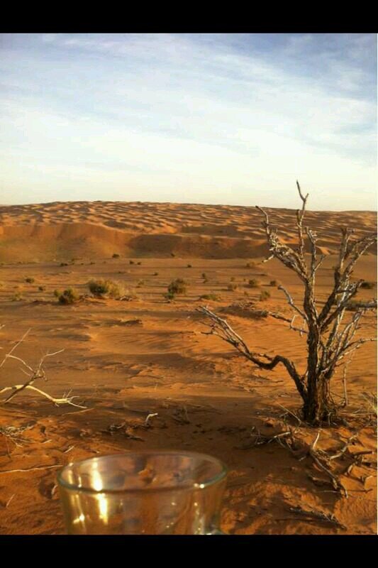 ‏‏‏عشقي عالمي عاصرت افراحه واتراحه ....
