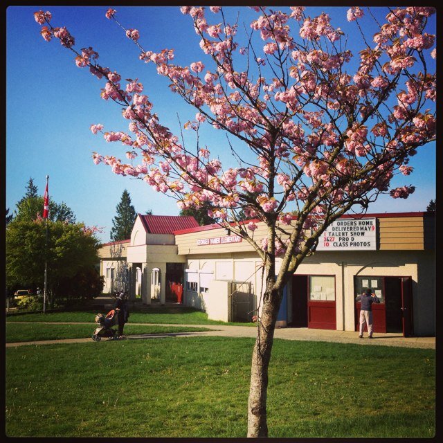 K-7 school of 540 students in Surrey, B.C. This Twitter account is moderated by Principal, Lianne McBride.