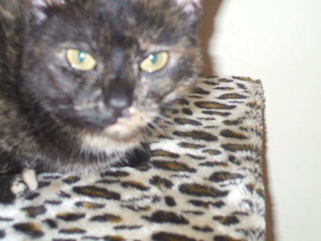 SallyDunn3's profile picture. 