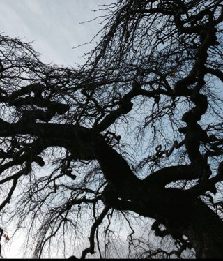 MsEmzee's profile picture. 