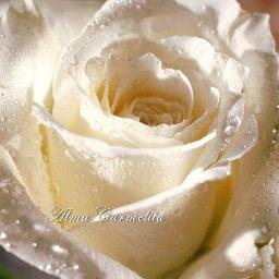 almacarmelita's profile picture. Blog: https://t.co/gKAdJ2IdKh
Twitter: @almacarmelita
Facebook: #AlmaCarmelita OCDS
Página FB: #AlmaCarmelita 
Instagran: #AlmaCarmelita